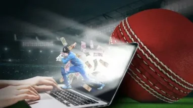 Cricket match action